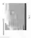 Fig. 06 - Porous material and method for producing the same