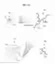 Fig. 07 - Porous layer, low-reflective coating layer, optical member, and methods of fabricating the porous layer