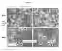Fig. 16 - SYSTEMS FOR DISSOCIATION OF BIOLOGICAL TISSUES