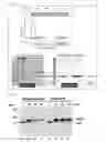 Fig. 09 - Method for producing Wnt protein and method for storing Wnt protein