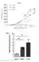 Fig. 07 - MODULATION OF SH2B3 TO IMPROVE RED BLOOD CELL PRODUCTION FROM STEM CELLS AND/OR PROGENITOR CELLS