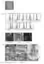 Fig. 04 - METHODS FOR MOBILISING POPULATIONS OF STEM CELLS