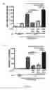 Fig. 06 - METHODS FOR MOBILISING POPULATIONS OF STEM CELLS