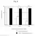 Fig. 05 - Immortalized stem cell, compositions, preparations and uses thereof