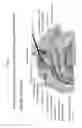 Fig. 11 - Immortalized stem cell, compositions, preparations and uses thereof