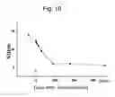 Fig. 15 - Immortalized stem cell, compositions, preparations and uses thereof
