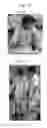 Fig. 16 - Immortalized stem cell, compositions, preparations and uses thereof