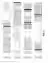 Fig. 02 - Modified polymerases for improved incorporation of nucleotide analogues