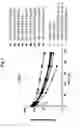 Fig. 06 - Factor VII conjugates