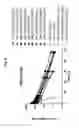 Fig. 07 - Factor VII conjugates