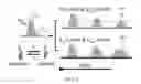 Fig. 06 - Optogenetic tool for rapid and reversible clustering of proteins
