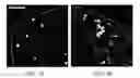 Fig. 07 - Optogenetic tool for rapid and reversible clustering of proteins