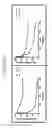 Fig. 24 - Factor V/Va-targeting aptamer compositions and methods of using the same