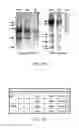 Fig. 03 - METHODS AND COMPOSITIONS FOR TREATING OR PREVENTING PRURITIS