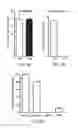 Fig. 12 - METHODS AND COMPOSITIONS FOR TREATING OR PREVENTING PRURITIS