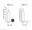 Fig. 27 - METHODS AND COMPOSITIONS FOR TREATING OR PREVENTING PRURITIS
