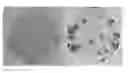 Fig. 01 - NON-VIRAL IPSCS INDUCING COMPOSITION AND KITS
