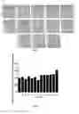 Fig. 07 - NON-VIRAL IPSCS INDUCING COMPOSITION AND KITS