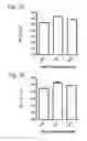 Fig. 08 - Further improved AAV vectors produced in insect cells