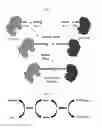 Fig. 03 - Multi-enzyme conjugate, method for preparing the same and method for preparing organic compound using the same