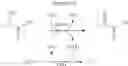 Fig. 19 - Multi-enzyme conjugate, method for preparing the same and method for preparing organic compound using the same