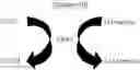 Fig. 22 - Multi-enzyme conjugate, method for preparing the same and method for preparing organic compound using the same
