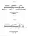 Fig. 02 - Transformant and its production process, and method for producing lactic acid