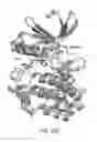 Fig. 49 - Biophysical platform for drug development based on energy landscape
