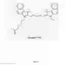 Fig. 02 - INTERNAL CONTROL PROBES FOR IMPROVING PCR ASSAY PERFORMANCE