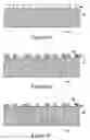 Fig. 07 - Highly electrically conductive surfaces for electrochemical applications