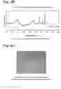 Fig. 06 - Composition for Preparation of Plating Base and Plating Base Thereof