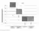 Fig. 07 - COMPOSITION FOR PHOSPHATE FILM OPTIMIZING MN CONTENT AND A METHOD FOR PHOSPHATE TREATMENT OF ZN ELECTRIC-PLATED STEEL SHEET