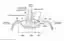 Fig. 01 - Combustion chamber structure for direct injection engine