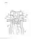 Fig. 02 - Combustion chamber structure for direct injection engine
