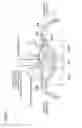Fig. 06 - Combustion chamber structure for direct injection engine