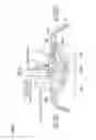 Fig. 07 - Combustion chamber structure for direct injection engine