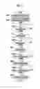 Fig. 09 - Internal combustion engine