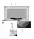 Fig. 06 - Dry gas seal with electronically controlled shutdown valve