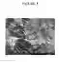 Fig. 04 - Thermally Insulative Expanded Polytetrafluoroethylene Article