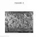 Fig. 05 - Thermally Insulative Expanded Polytetrafluoroethylene Article