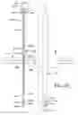 Fig. 28 - Indexer, indexer retrofit kit and method of use thereof