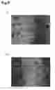 Fig. 09 - Interference observation device