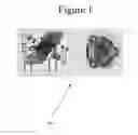 Fig. 02 - High-speed volume measurement system