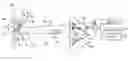 Fig. 01 - Vibration visualizer, vibration measurement system, and vibration measurement method