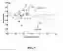 Fig. 08 - Method of measuring red blood cell membrane fluctuations based on dynamic cell parameters and digital holographic microscope used therefor