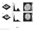 Fig. 09 - Method of measuring red blood cell membrane fluctuations based on dynamic cell parameters and digital holographic microscope used therefor