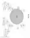 Fig. 04 - OLIGONUCLEOTIDE PROBES AND USES THEREOF