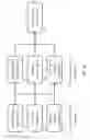Fig. 07 - OLIGONUCLEOTIDE PROBES AND USES THEREOF