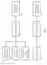 Fig. 08 - OLIGONUCLEOTIDE PROBES AND USES THEREOF