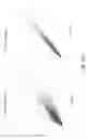 Fig. 32 - OLIGONUCLEOTIDE PROBES AND USES THEREOF